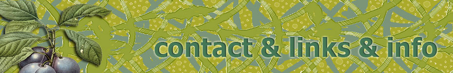 banner for alexandrialevin.com