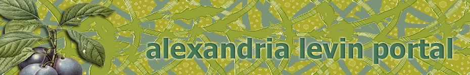 banner for alexandrialevin.com