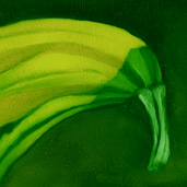 Kiwi Gourd painting detail by Alexandria Levin