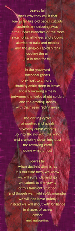 aubergine by alexandria levin