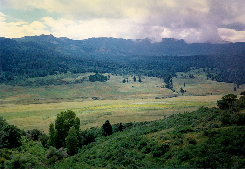 colorado photo two by alexandria levin