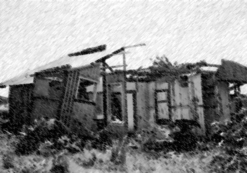 hurricane house by alexandria levin