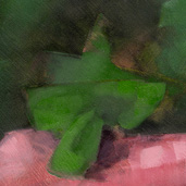 Azalea painting detail by Alexandria Levin