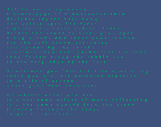 lagomorphic background by alexandria levin