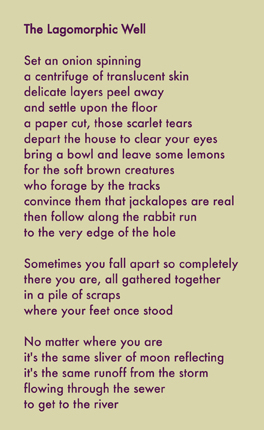 the lagomorphic well lyric poem by alexandria levin