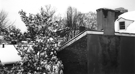 roof photo by alexandria levin