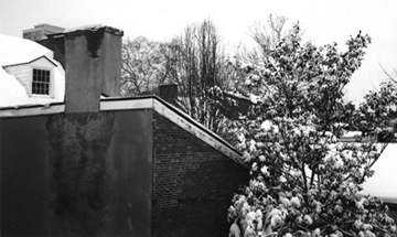 roof reverse by alexandria levin